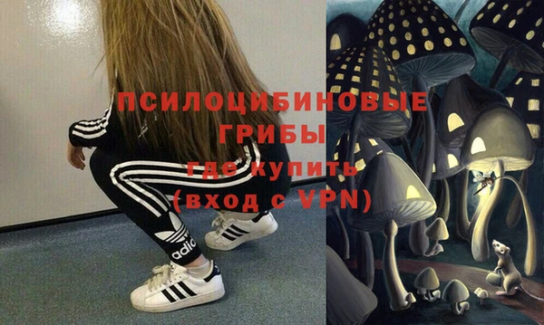 стаф Новодвинск