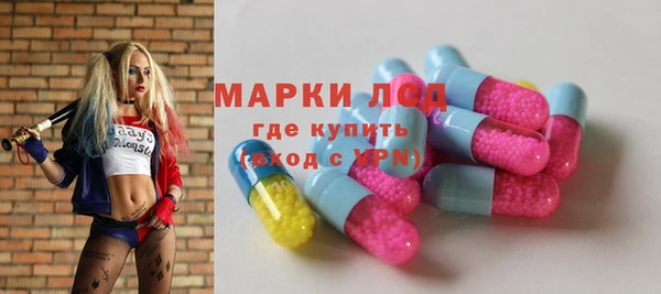 стаф Новодвинск