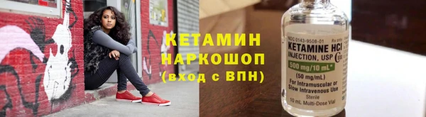 гашик Болотное