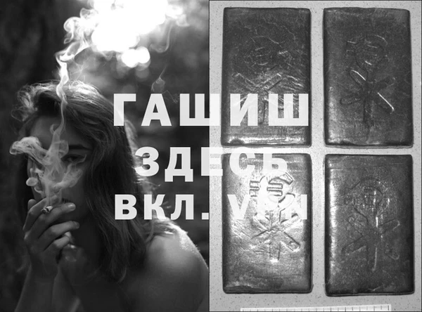 стаф Новодвинск