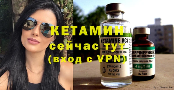 стаф Новодвинск