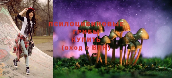 дурь Болхов